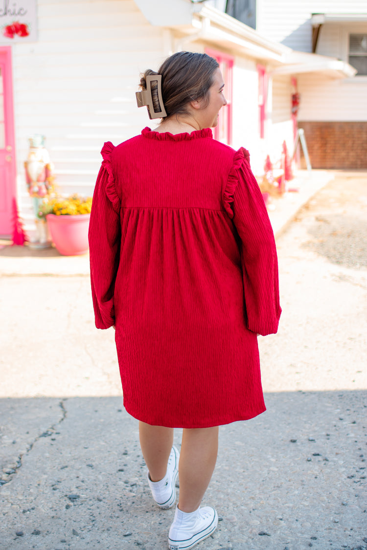Ruffled Loose Fit Mini Dress