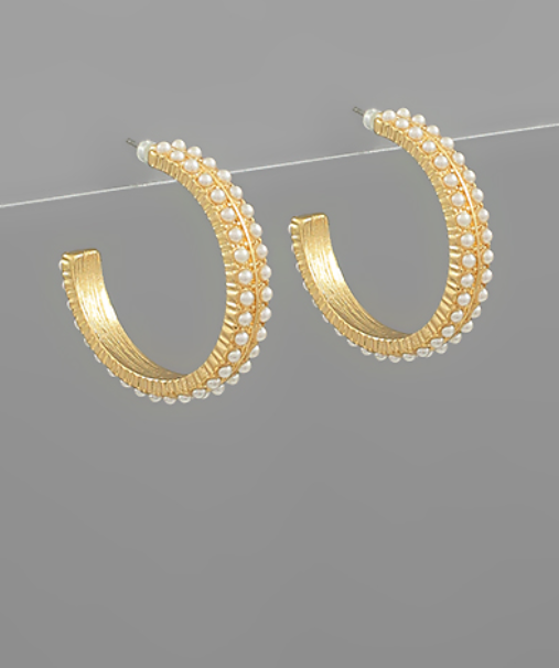 2 Row Studded Pearl & Metal Earring